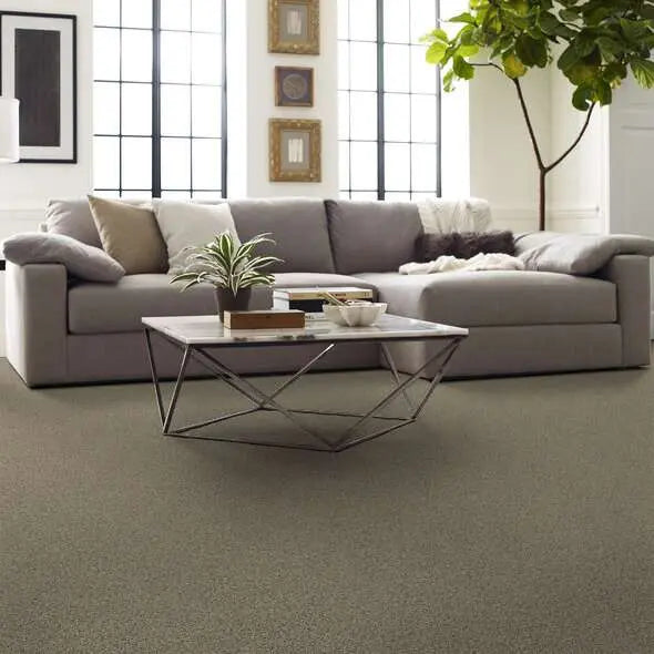 Caress - Angora Classic II - Carpet Shaw Floors