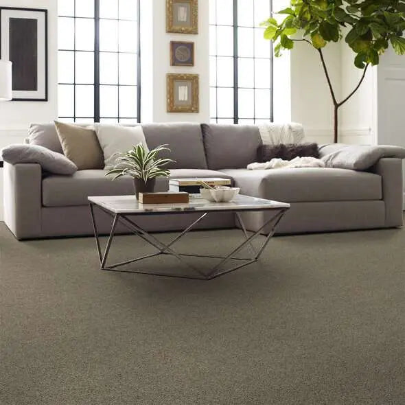 Caress - Angora Classic II - Carpet Shaw Floors