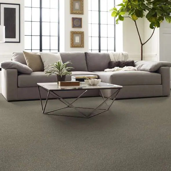 Caress - Angora Classic I - Carpet Shaw Floors