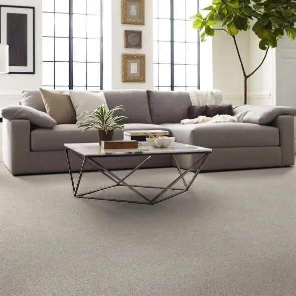 Caress - Devon Classic III - Carpet Shaw Floors