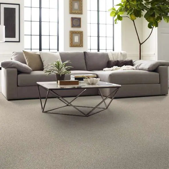 Caress - Devon Classic III - Carpet Shaw Floors