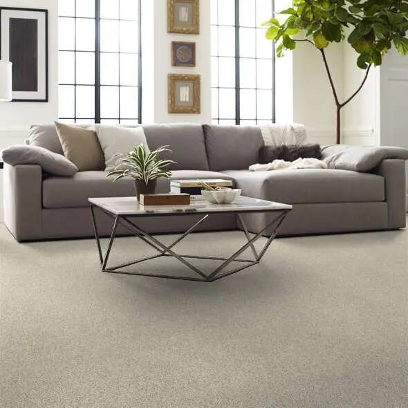 Caress - Devon Classic III - Carpet Shaw Floors