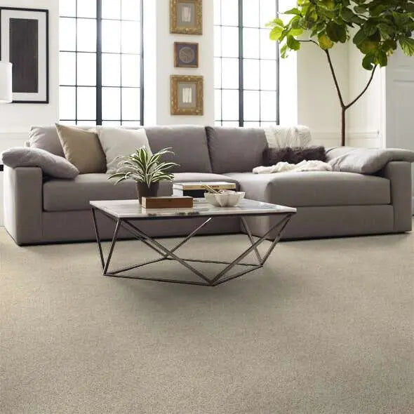 Caress - Devon Classic III - Carpet Shaw Floors