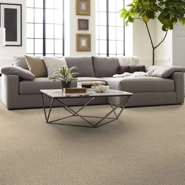 Caress - Devon Classic III - Carpet Shaw Floors