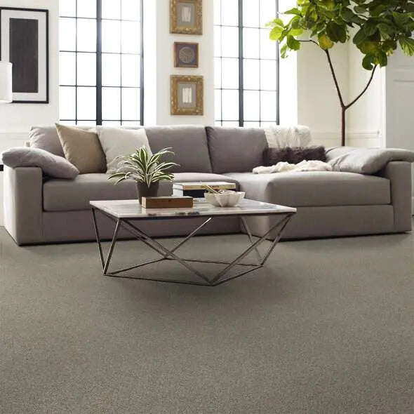 Caress - Devon Classic III - Carpet Shaw Floors