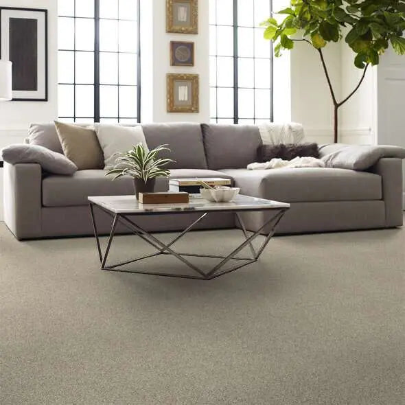Caress - Devon Classic III - Carpet Shaw Floors