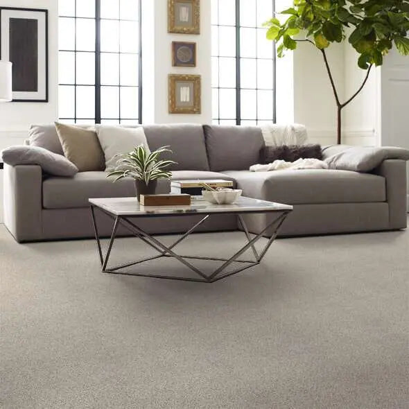 Caress - Devon Classic III - Carpet Shaw Floors