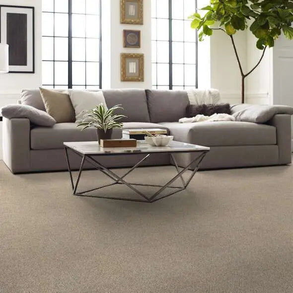 Caress - Devon Classic III - Carpet Shaw Floors