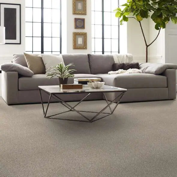 Caress - Devon Classic III - Carpet Shaw Floors