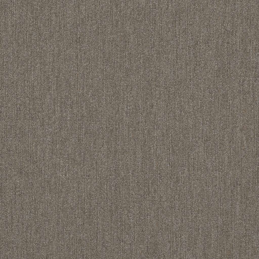 Beyond Limits - Carpet Tile 5th & Main