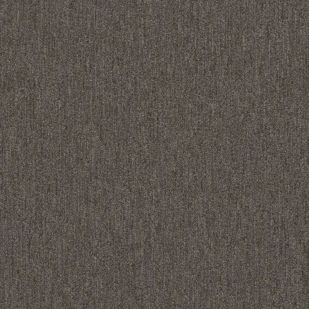 Beyond Limits - Carpet Tile 5th & Main