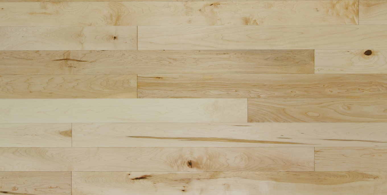 American Maple - Natural - Engineered Hardwood