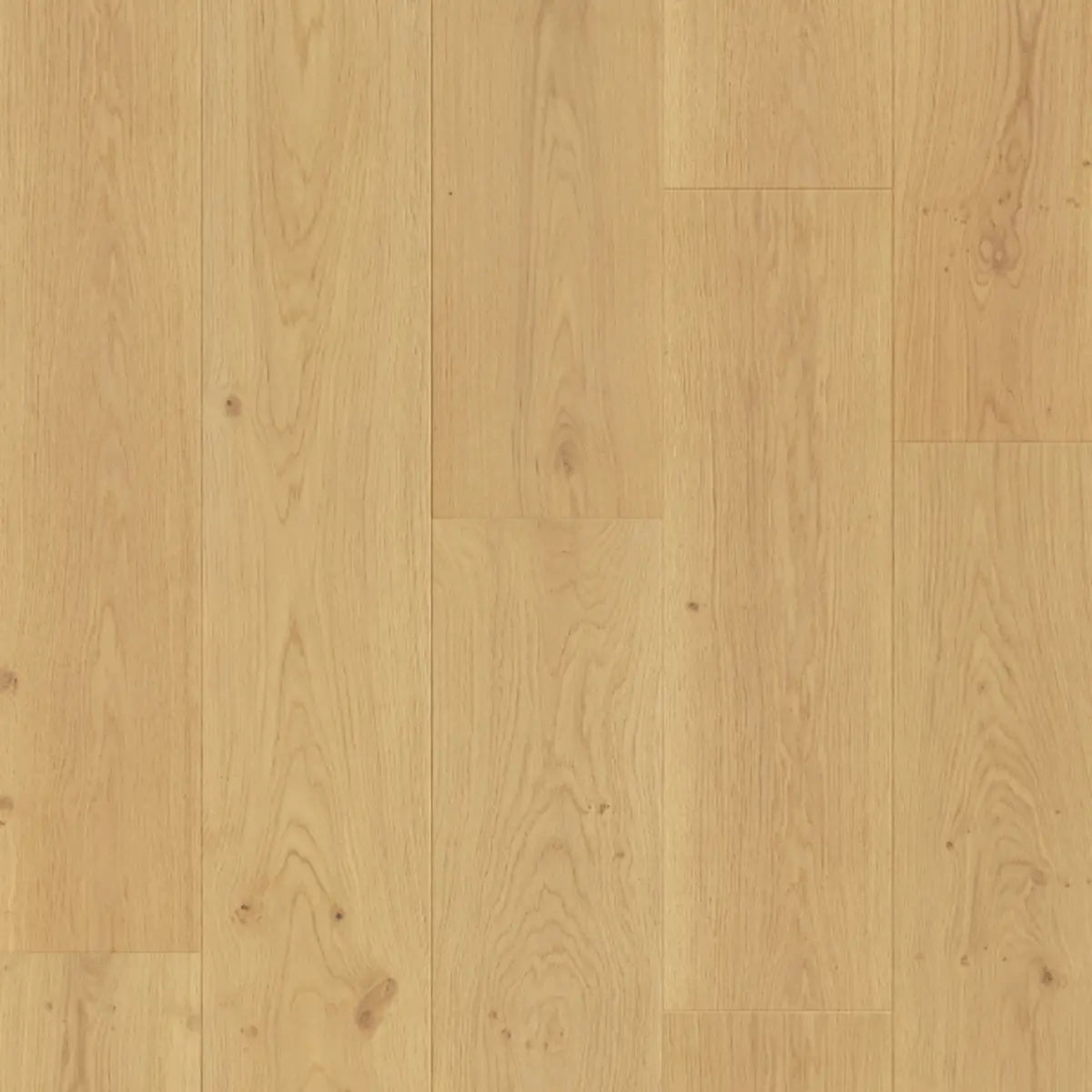 Constellation 9 1/2" - Jupiter - Engineered Hardwood Compass Materials