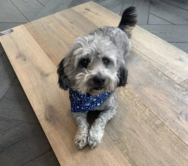 Chateau - Bravone - Engineered Hardwood Duchateau