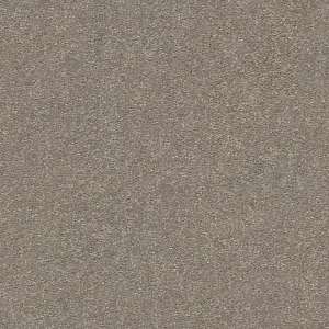 Attainable - Carpet