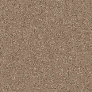 Attainable - Carpet Shaw Floors