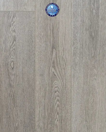 Concorde Oak - Willow Wisp - LVP Provenza