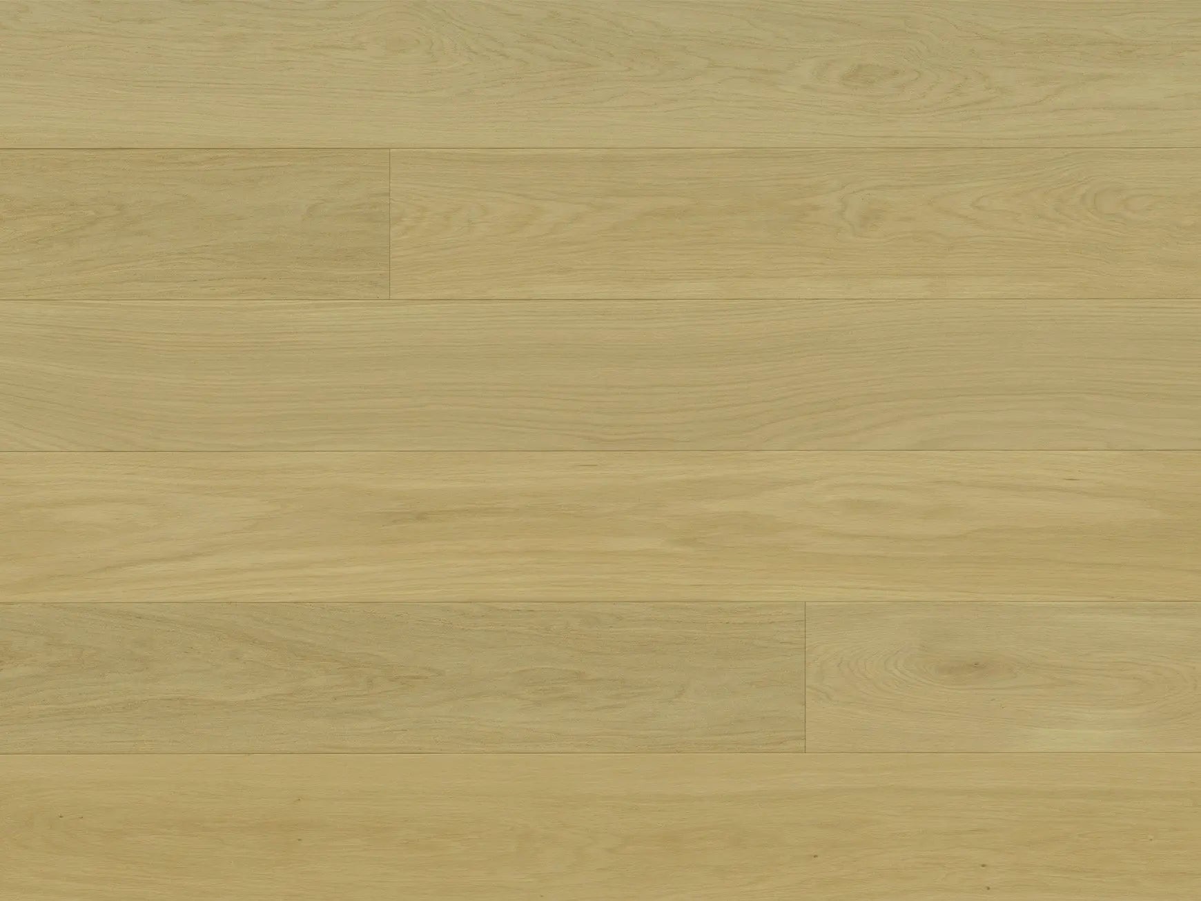 Regent - ISABELLA - Engineered Hardwood Monarch Plank Hardwood Flooring
