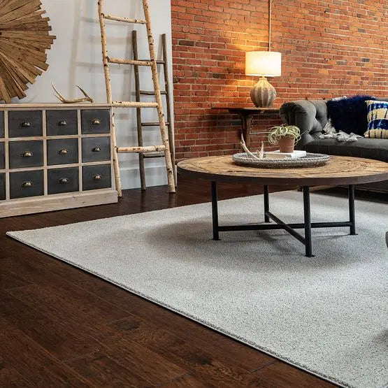 Classics - Del Morro - Carpet Anderson Tuftex