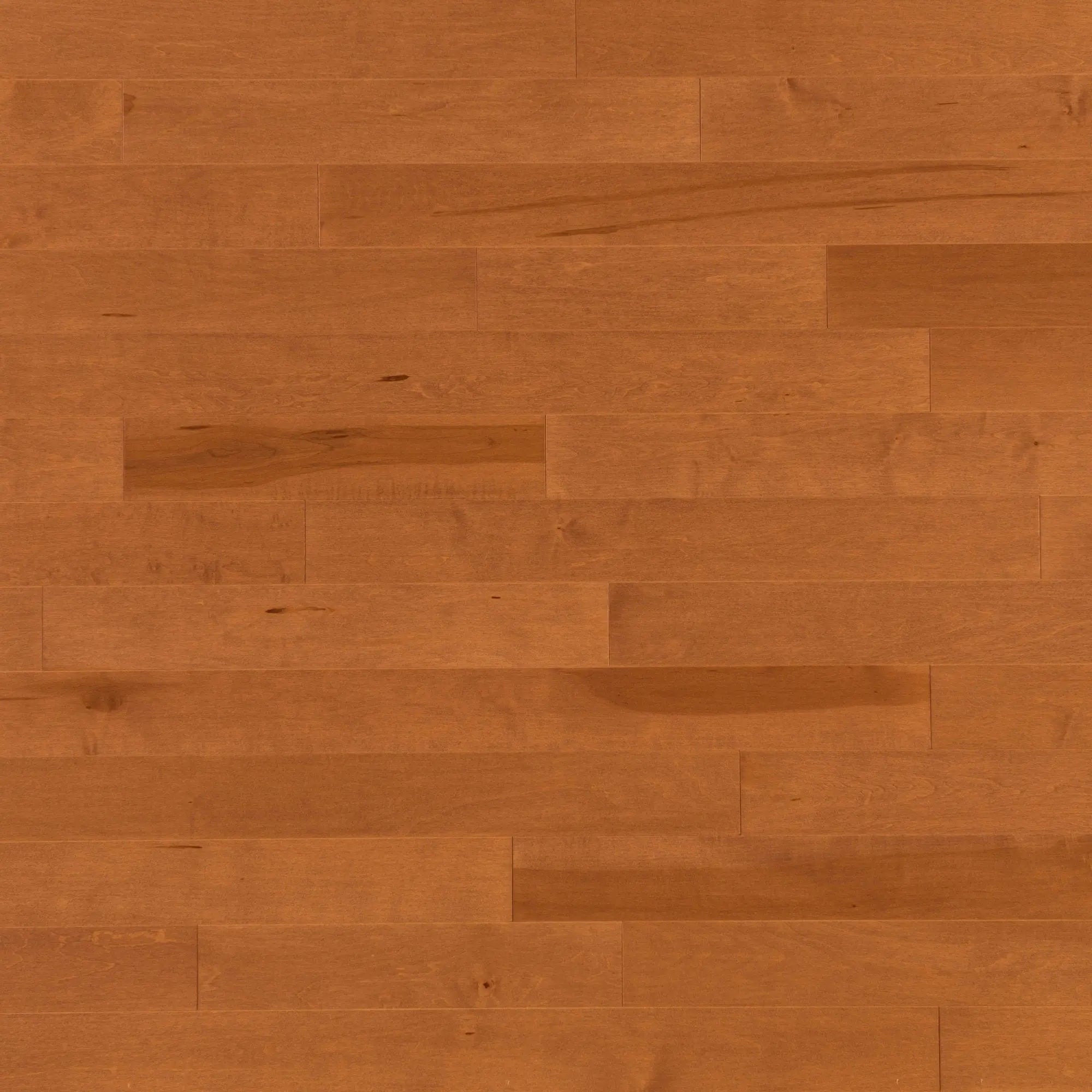 Admiration - Maple Nevada Exclusive Smooth - Hardwood Mirage