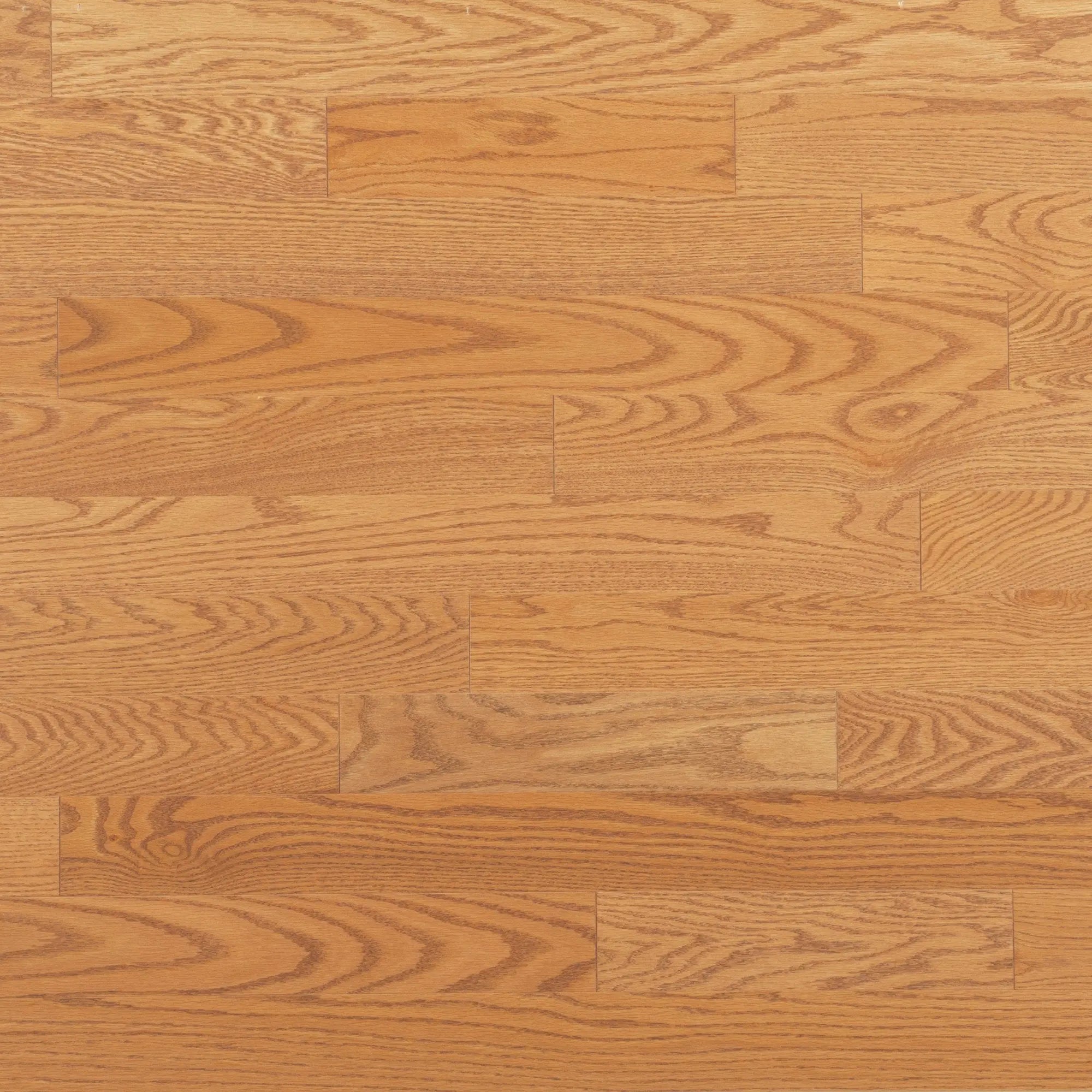 Admiration - Red Oak Golden Exclusive Smooth - Hardwood Mirage