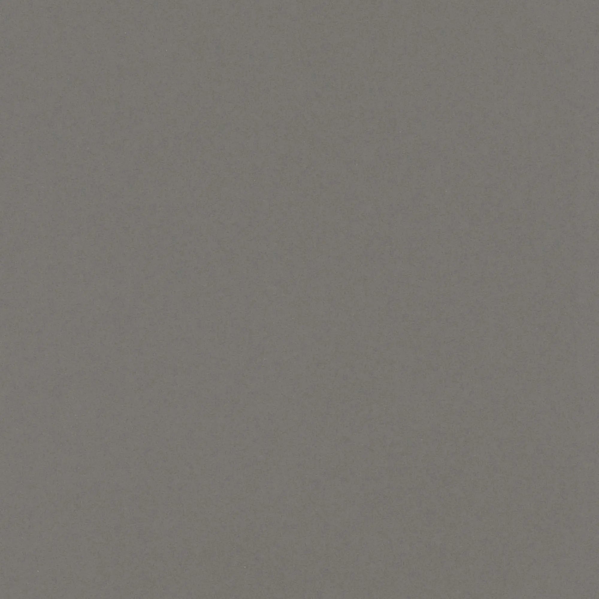 ONE Quartz - Monochromatic Look - Brushed Flannel daltile