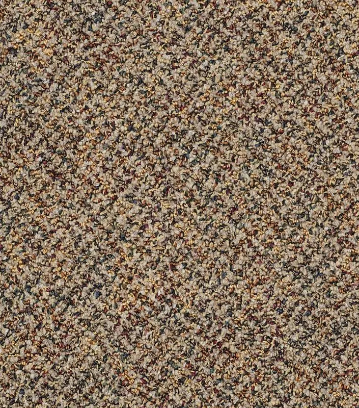 Broadloom - Changinattepbl - Carpet Philadelphia Commercial