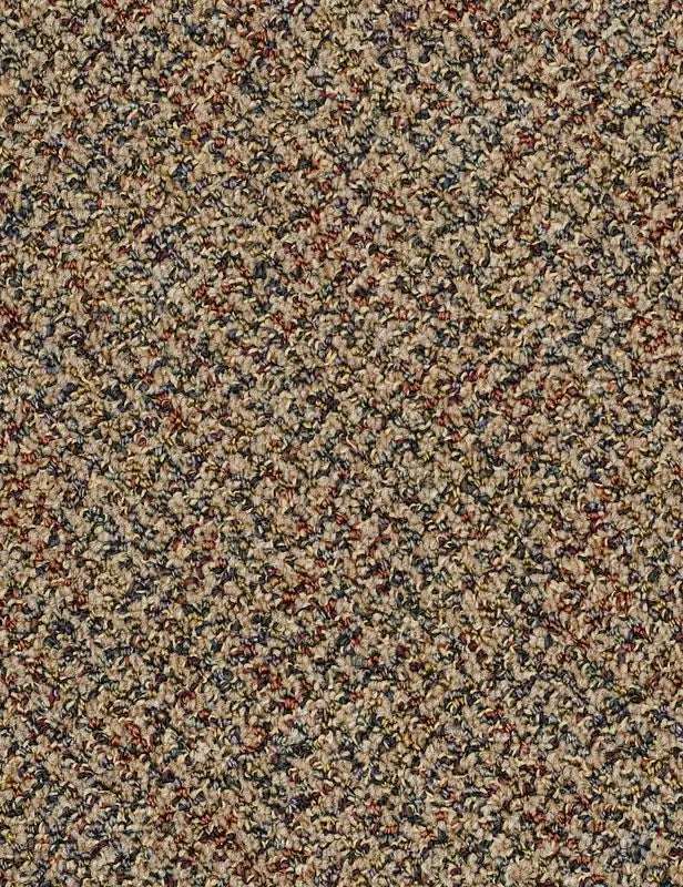 Broadloom - Changinattepbl - Carpet Philadelphia Commercial