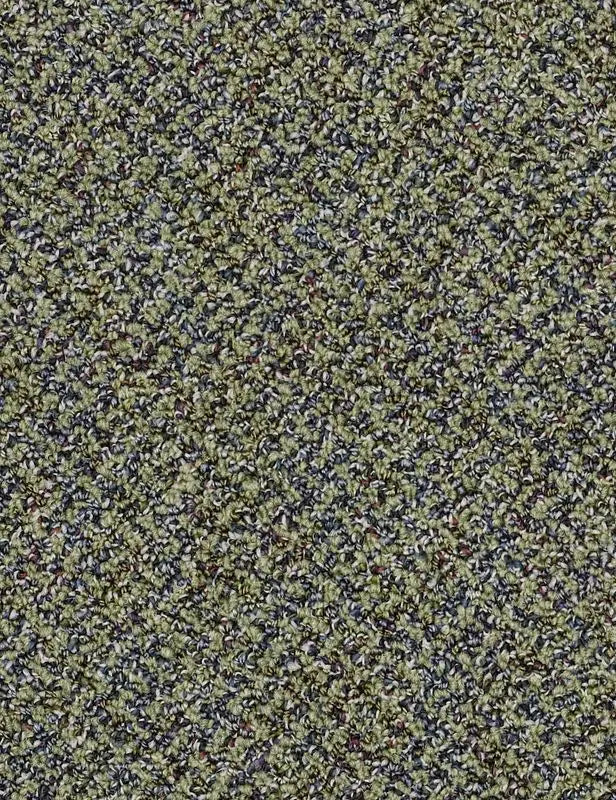 Broadloom - Changinattepbl - Carpet Philadelphia Commercial