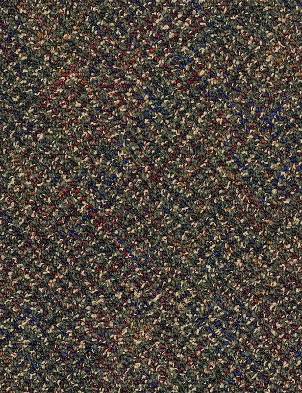 Broadloom - Changinattepbl - Carpet Philadelphia Commercial