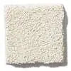 Caress - Cashmere Classic I - Carpet Shaw Floors