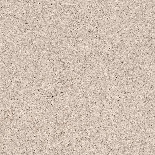 Caress - Cashmere Classic I - Carpet Shaw Floors