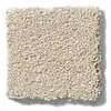 Caress - Cashmere Classic I - Carpet Shaw Floors