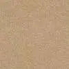Caress - Cashmere Classic I - Carpet Shaw Floors