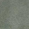 Caress - Cashmere Classic I - Carpet Shaw Floors