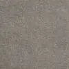 Caress - Cashmere Classic I - Carpet Shaw Floors