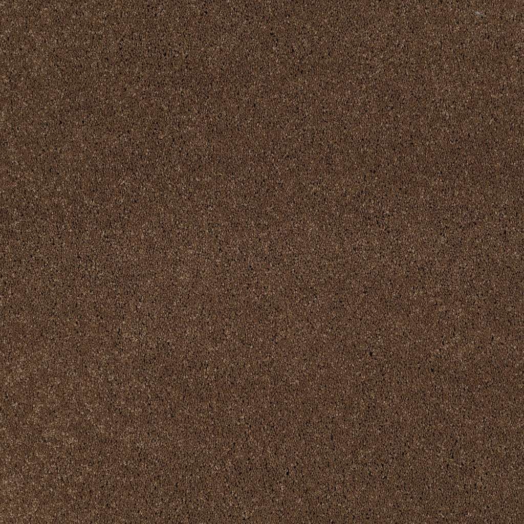 Caress - Cashmere I - Carpet Shaw Floors