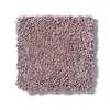 Caress - Cashmere I - Carpet Shaw Floors