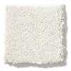 Caress - Cashmere Classic II - Carpet Shaw Floors