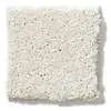 Caress - Cashmere Classic II - Carpet Shaw Floors