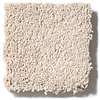 Caress - Cashmere Classic II - Carpet Shaw Floors