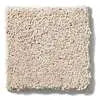 Caress - Cashmere Classic II - Carpet Shaw Floors