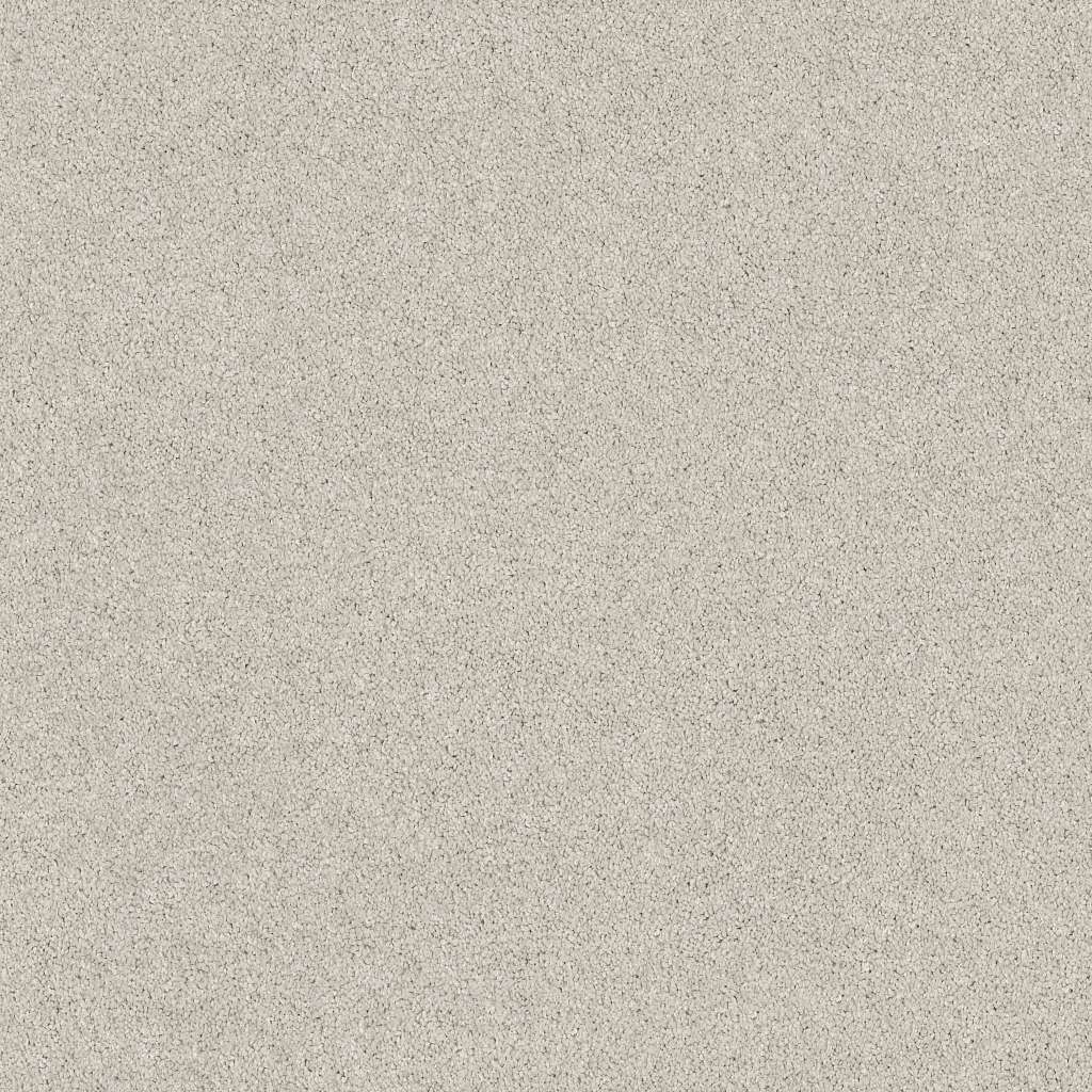 Caress - Cashmere Classic II - Carpet Shaw Floors