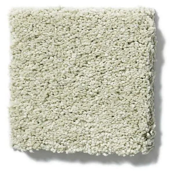 Caress - Cashmere Classic II - Carpet Shaw Floors