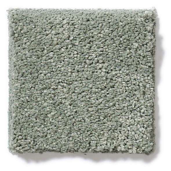 Caress - Cashmere Classic II - Carpet Shaw Floors