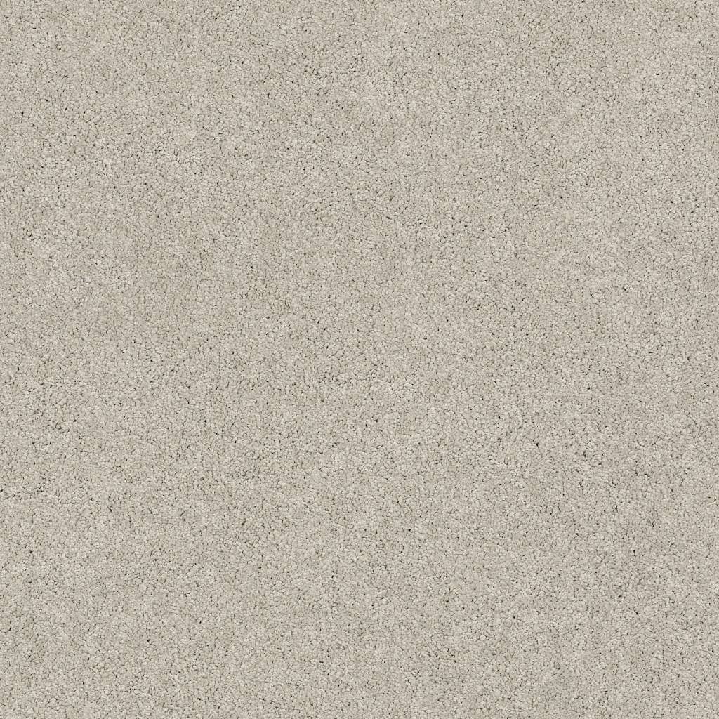 Caress - Cashmere Classic II - Carpet Shaw Floors