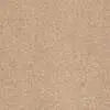 Caress - Cashmere Classic II - Carpet Shaw Floors