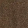 Caress - Cashmere Classic II - Carpet Shaw Floors