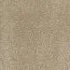 Caress - Cashmere Classic II - Carpet Shaw Floors