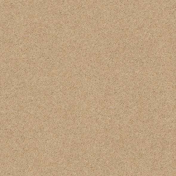 Caress - Cashmere Classic III - Carpet Shaw Floors